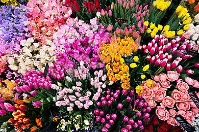 《黑客帝国：觉醒》vs 电影《黑客帝国1》同场景对比 过于还原